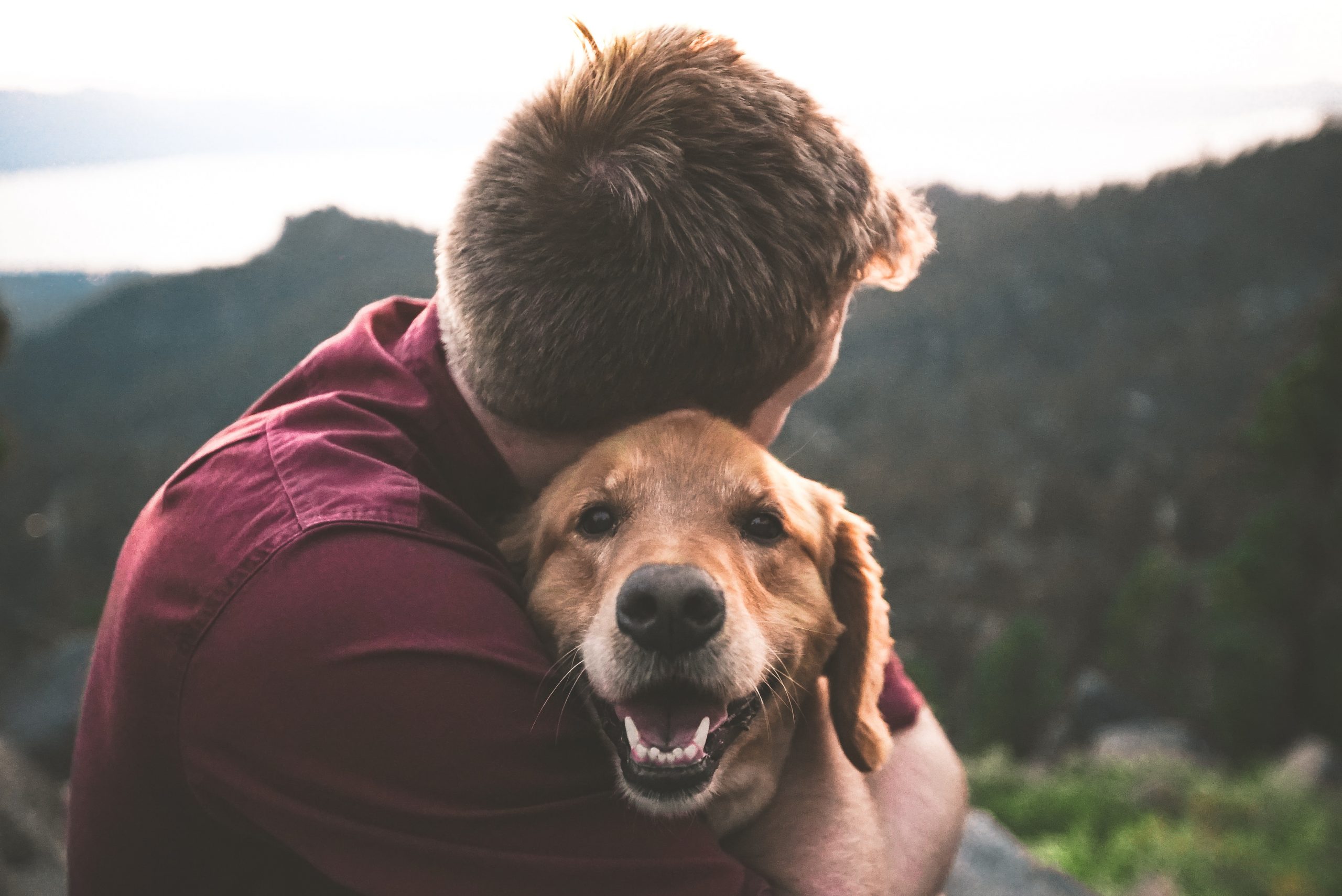 „Warum jede Hundebesitzerin eine Trinkflasche für ihren Vierbeiner haben sollte: Die gesunde Hydration für unterwegs“