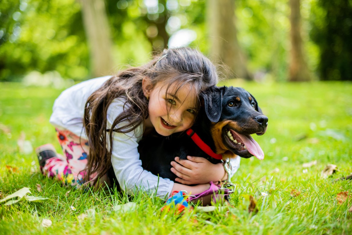 „Warum Hunde Trinkflaschen unverzichtbar sind: Hydration im Fokus“