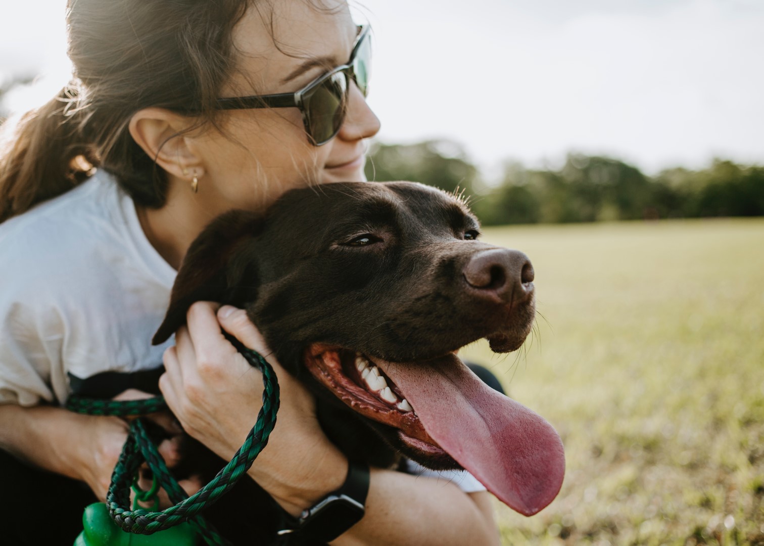 „Der ultimative Guide: Warum Hunde Trinkflaschen unverzichtbar sind“